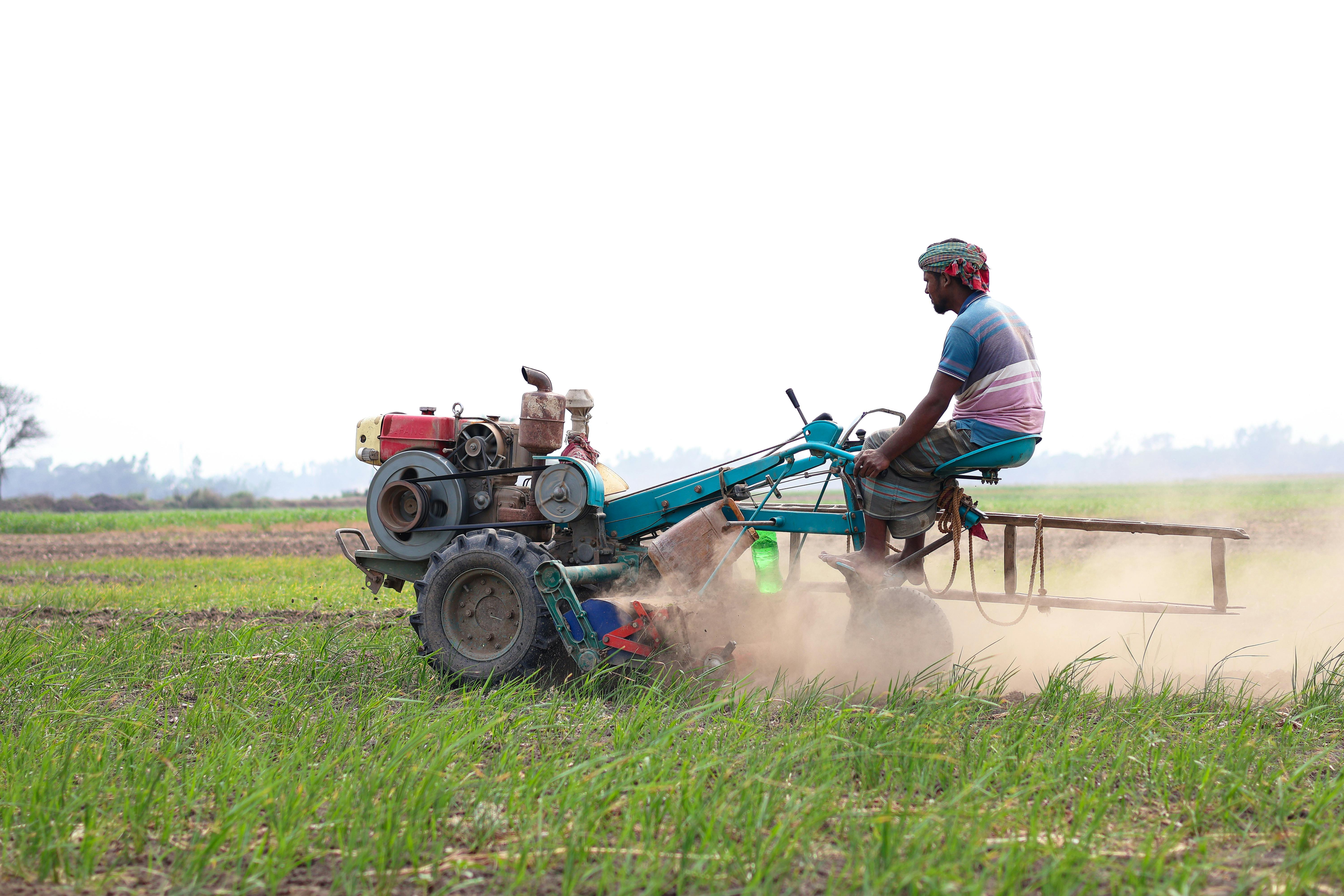 How I turned my small farm into Thriving business